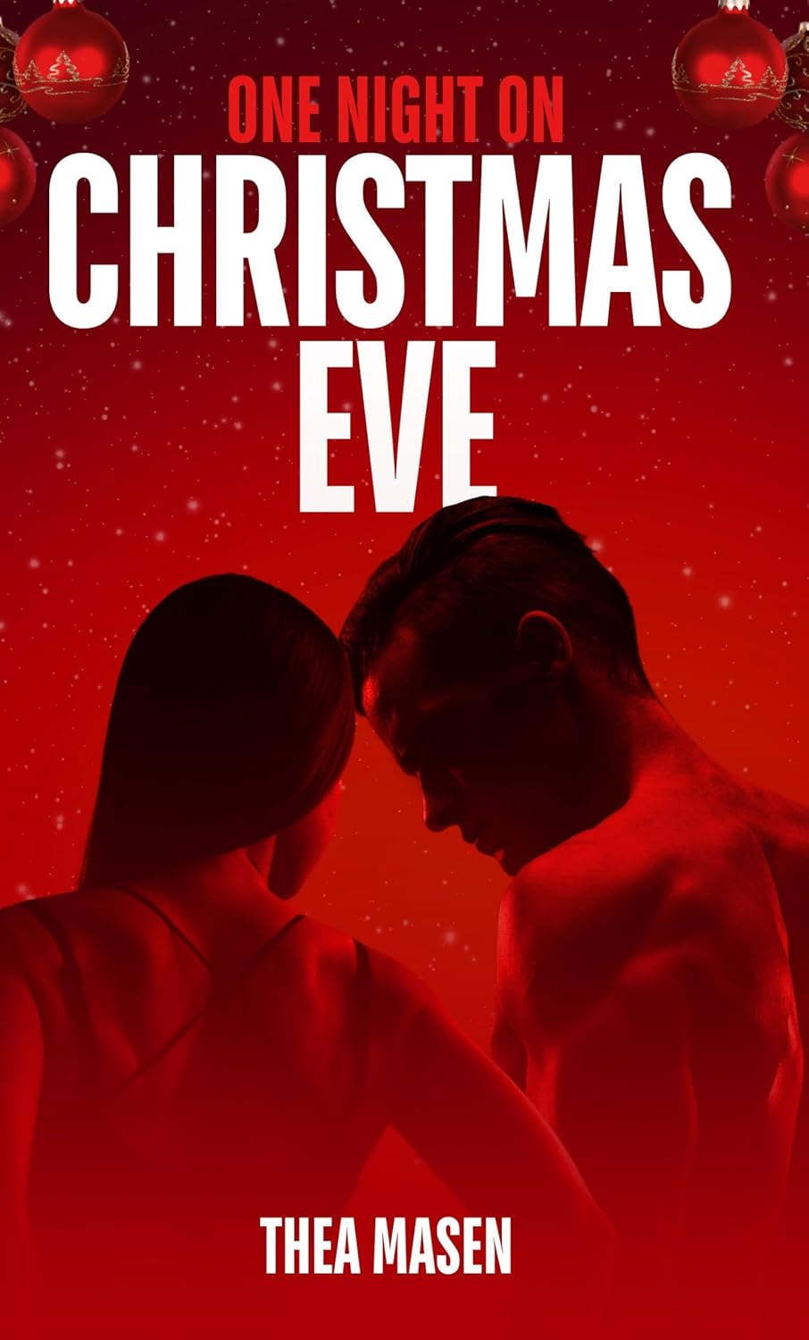 One Night on Christmas Eve book cover